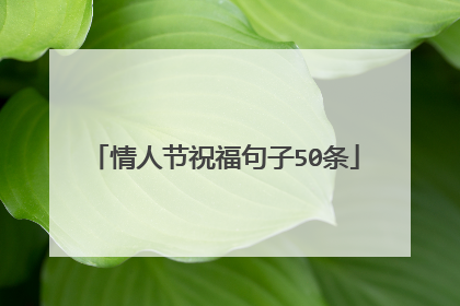 情人节祝福句子50条