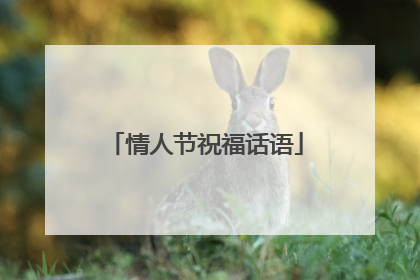情人节祝福话语
