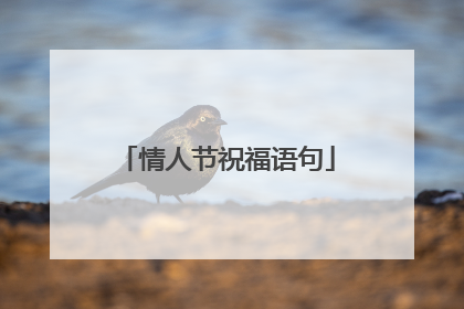 情人节祝福语句