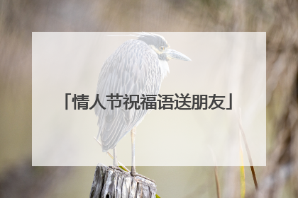 情人节祝福语送朋友