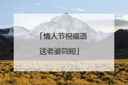 情人节祝福语送老婆简短