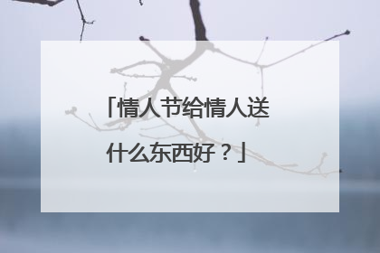 情人节给情人送什么东西好？