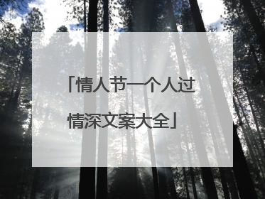 情人节一个人过情深文案大全