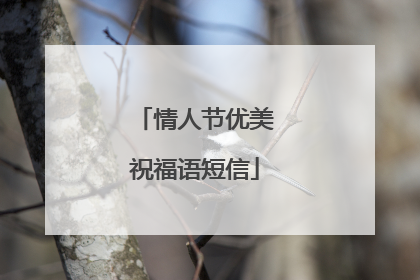 情人节优美祝福语短信