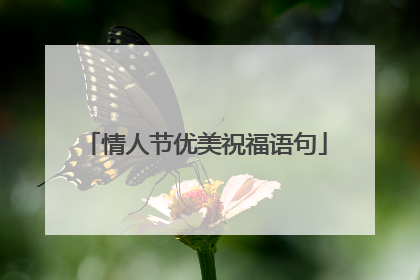 情人节优美祝福语句