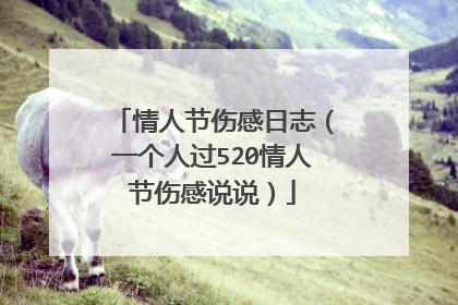 情人节伤感日志（一个人过520情人节伤感说说）