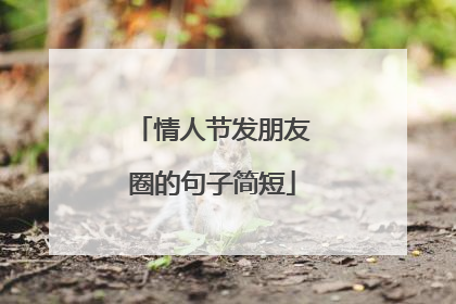 情人节发朋友圈的句子简短