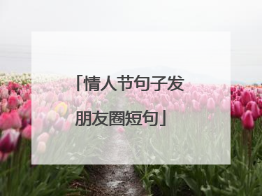 情人节句子发朋友圈短句