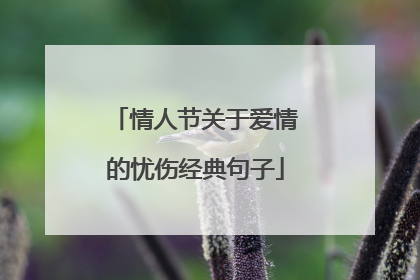 情人节关于爱情的忧伤经典句子