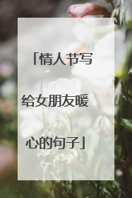 情人节写给女朋友暖心的句子