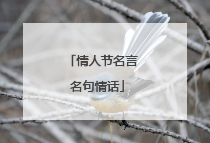 情人节名言名句情话