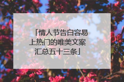 情人节告白容易上热门的唯美文案汇总五十三条