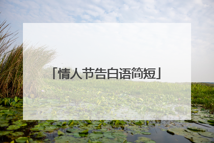 情人节告白语简短