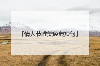 情人节唯美经典短句