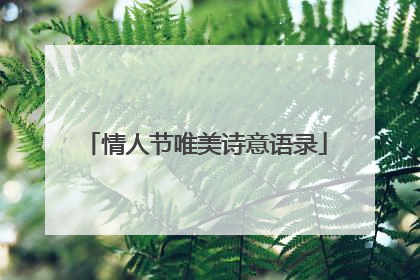情人节唯美诗意语录