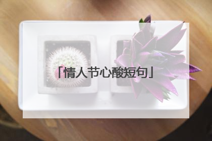 情人节心酸短句