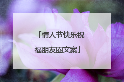 情人节快乐祝福朋友圈文案