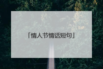情人节情话短句