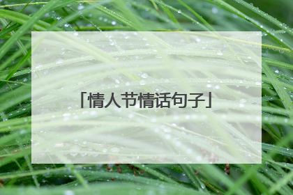 情人节情话句子