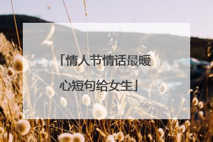 情人节情话最暖心短句给女生