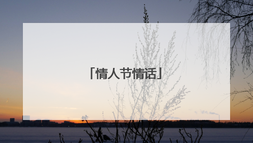 情人节情话