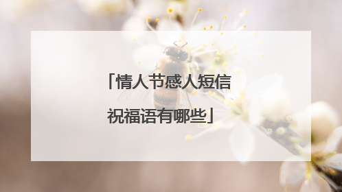 情人节感人短信祝福语有哪些