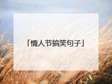 情人节搞笑句子