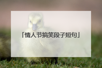 情人节搞笑段子短句