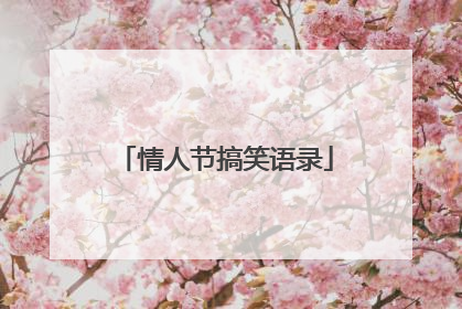 情人节搞笑语录