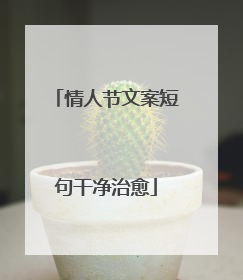 情人节文案短句干净治愈