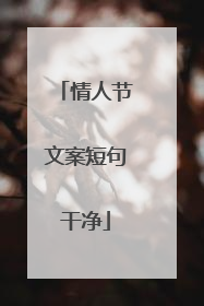情人节文案短句干净