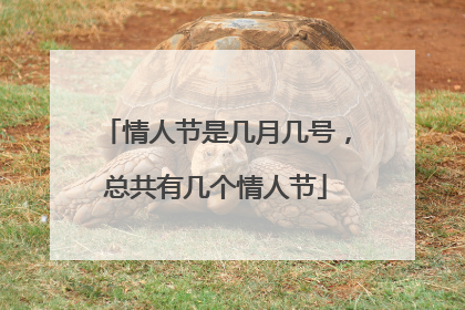情人节是几月几号,总共有几个情人节