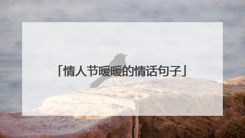 情人节暖暖的情话句子