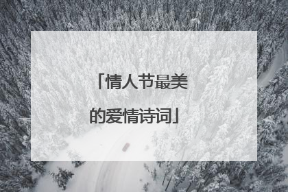 情人节最美的爱情诗词