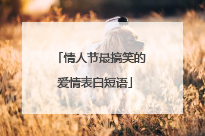 情人节最搞笑的爱情表白短语