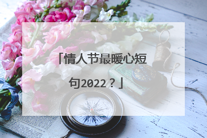 情人节最暖心短句2022?