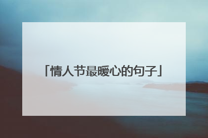 情人节最暖心的句子