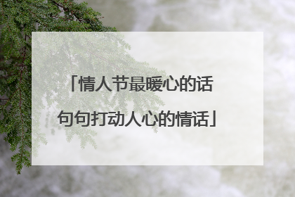 情人节最暖心的话 句句打动人心的情话