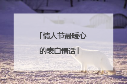 情人节最暖心的表白情话
