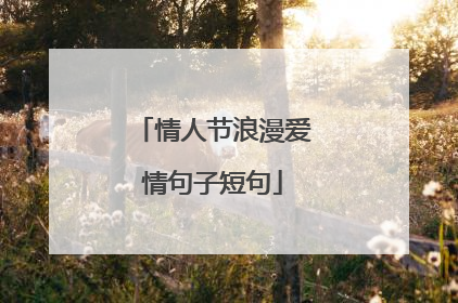 情人节浪漫爱情句子短句