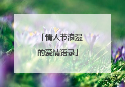 情人节浪漫的爱情语录
