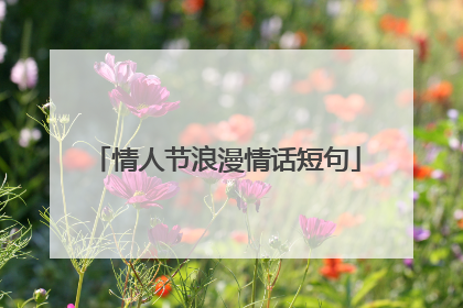 情人节浪漫情话短句