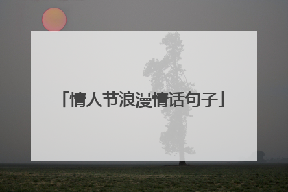 情人节浪漫情话句子