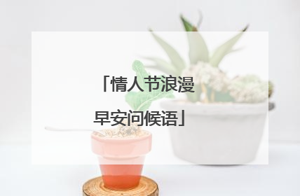 情人节浪漫早安问候语