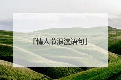 情人节浪漫语句