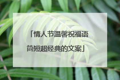 情人节温馨祝福语简短超经典的文案
