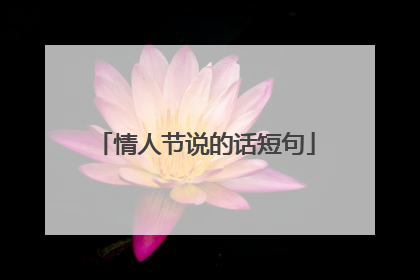 情人节说的话短句