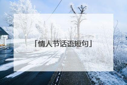 情人节话语短句