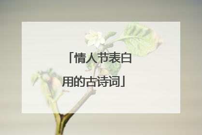 情人节表白用的古诗词