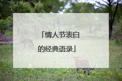 情人节表白的经典语录